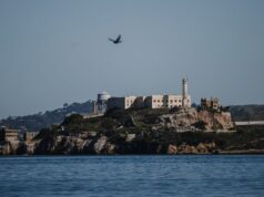 Dangerous Bunny and the Bay: Por que São Francisco está liderando o esporte