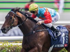 Fazedor de história: Ka Ying Rising alcança 18ª vitória consecutiva