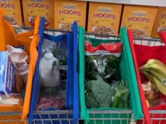 Estas sacolas de compras reutilizáveis penduradas acabam com minhas velhas sacolas flexíveis