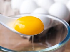 11 alimentos ricos em vitamina D que são como a luz photo voltaic comestível