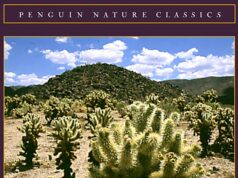 6 livros do deserto dos quais não podemos parar de falar