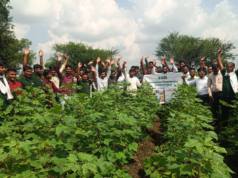 Varaha da Índia arrecada US$ 20 milhões para aumentar a remoção de carbono do Sul International