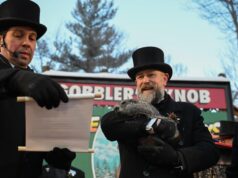 Marmota Punxsutawney Phil irá prever o fim do inverno ou mais 6 semanas de frio